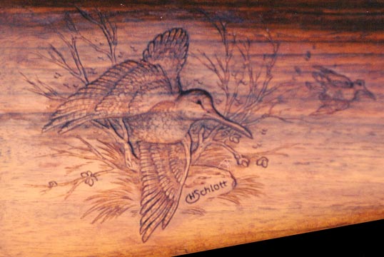 schaftschnepfe2